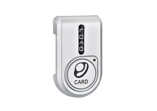 FC-298S/G Sauna Lock